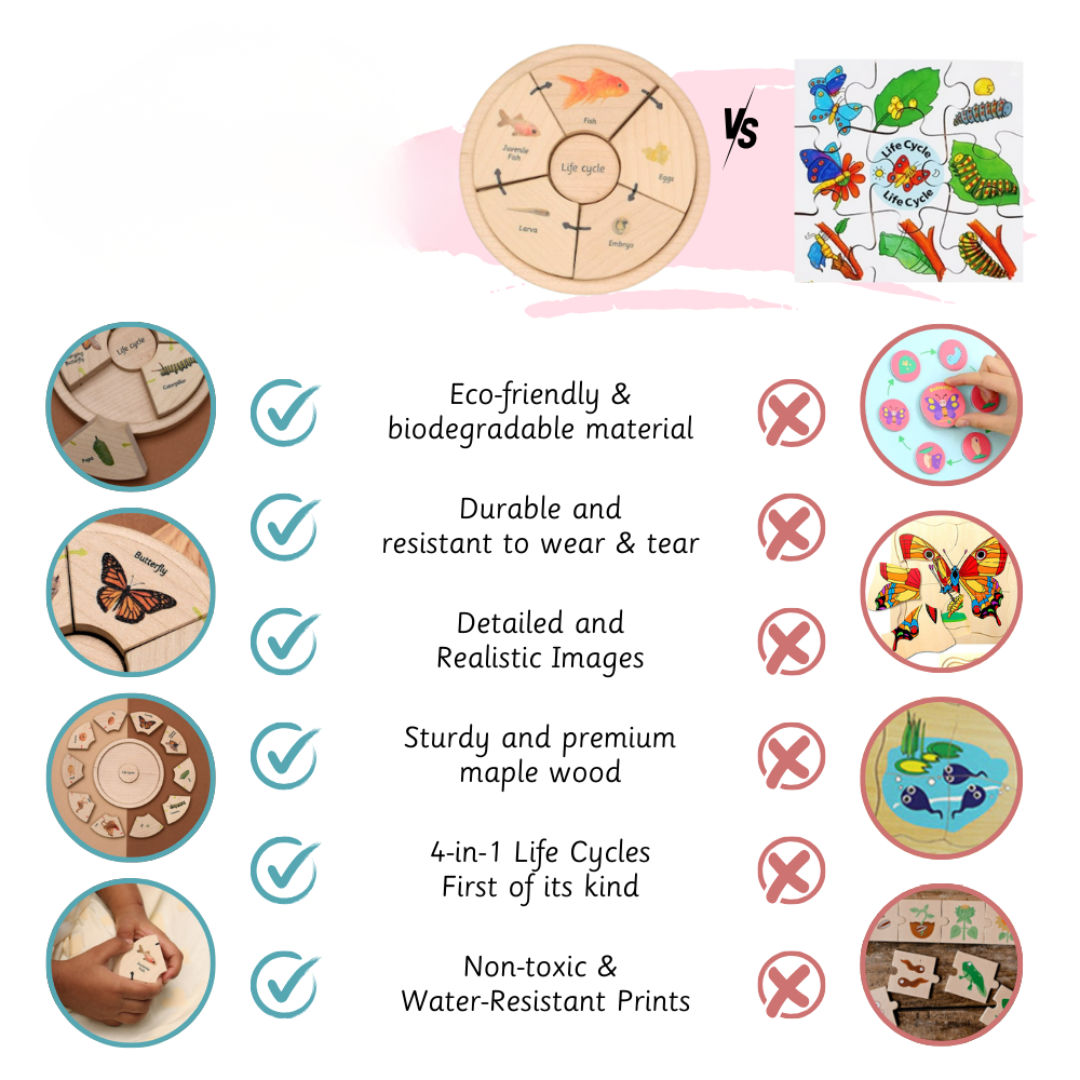 Life Cycle Puzzle - Oviparous